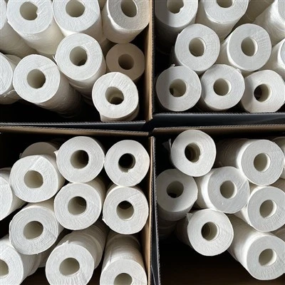 Biodegradable Toilet Tissue