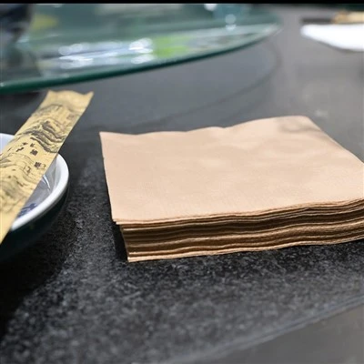 Brown Lunch Napkins
